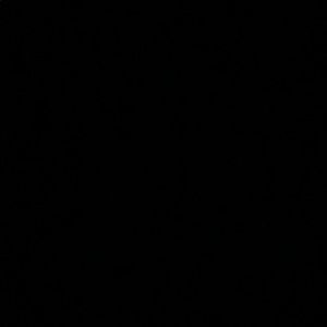 Meet your Posher, Nayely